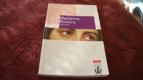 Madame Bovary: Moeurs de province