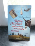 Radio Miracoli und andere italienische Wunder: Roman