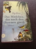Das Mädchen, das nach den Sternen greift: Roman (insel taschenbuch)