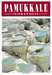 Buch-Cover