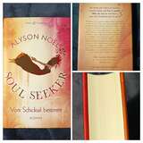 SOUL SEEKER Vom Schicksal bestimmt