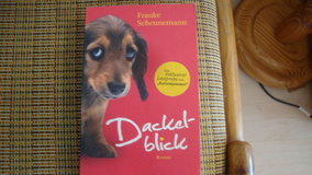 Dackelblick: Dackel Herkules 1